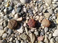 IMG_20180802_182309.webp
