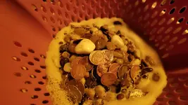 20181124_172711.webp