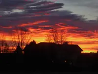 walk 122418 1.webp