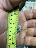ImageUploadedByTreasureNet.com1543110822.781437.webp