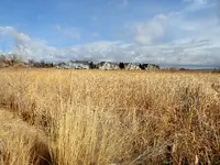 walk 122418 2.webp