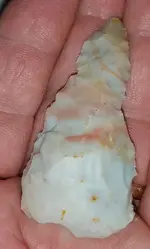 hancock_paleo_scraper.webp
