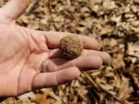 20180318_134057.webp