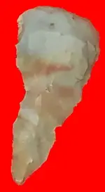 paleo_scraper_rhodes.webp