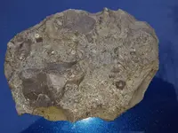 20190123_155937.webp