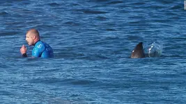 150719125326-02-wsl-shark-attack-mfanning-1.webp
