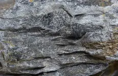 phyllite graphite2.webp phyllite graphite2.webp