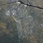 DSCN2365.webp