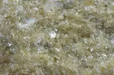 yellow marble3.webp