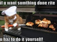 cat-cooking-on-the-grill.jpg