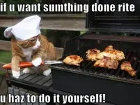 cat-cooking-on-the-grill.webp