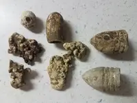 20181216_175846.webp