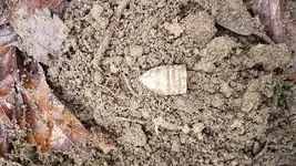 20181216_083716.webp