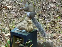 DSCN2418.webp
