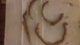 20181225_175231.webp