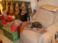 DSC02602.webp
