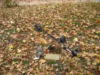 IMG_2418.webp