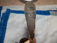 20181225_194759.webp