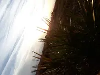 20181225_170913.webp