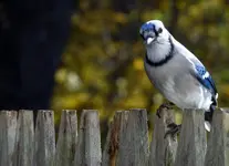 K1600_DSCN1577.webp