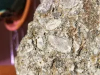 20181220_224742.webp