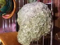 20181220_224717.webp