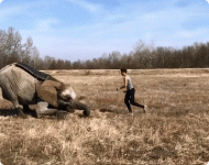 F20D814D-3F84-4E81-9821-359824020DB0.gif
