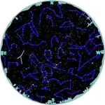 Mystery Rock Cancer Position.webp