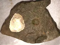 ImageUploadedByTreasureNet.com1545800205.860031.webp ImageUploadedByTreasureNet.com1545800205.860031.webp