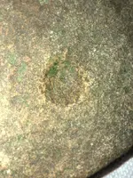 ImageUploadedByTreasureNet.com1545800215.445248.webp ImageUploadedByTreasureNet.com1545800215.445248.webp