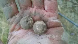 Dirty Balls.webp Dirty Balls.webp