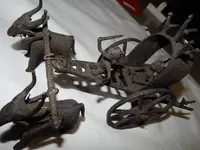 DSCN6846.webp