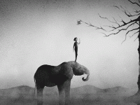 DC8FE739-3966-4176-94C3-441964B0DE01.gif