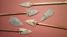 20180912_071540.webp