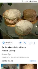 Screenshot_20190201-100919_Chrome.webp