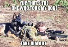 mm-snipermemes07_24_17-600-18.webp