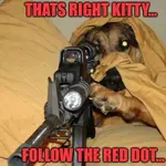 mm-snipermemes07_24_17-600-54.webp