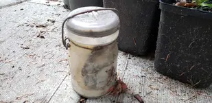 20181110_155113.webp