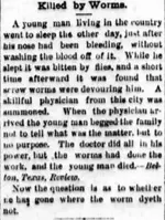 killed by worms 1876.webp