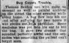 groaning bug 1911.webp