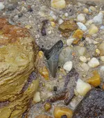 20181213_173525.webp