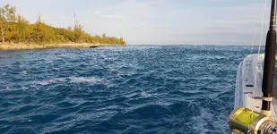 20190124_165029.webp