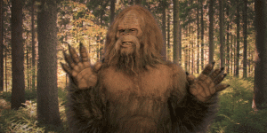 0C370D86-0A1B-4F57-843D-F53319CE8BC4.gif