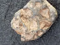 20181125_161401.webp
