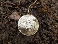 20181225_141439.webp