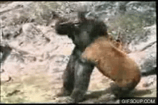 9726D4E1-9C16-4084-A413-E1DD69BA3CA4.gif