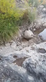20181031_174845.webp