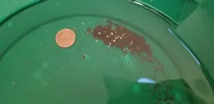 20181225_155131.webp