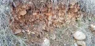 20181213_154915.webp