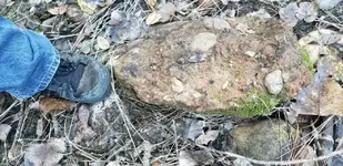 20181213_155921.webp